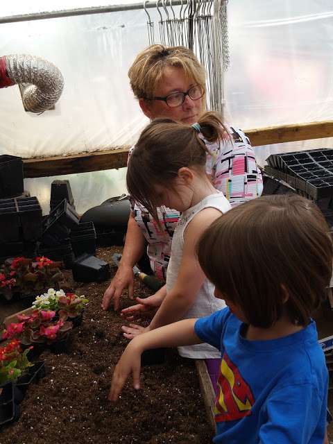 Nipawin Greenhouses